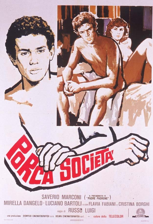 Свинское общество (1978)