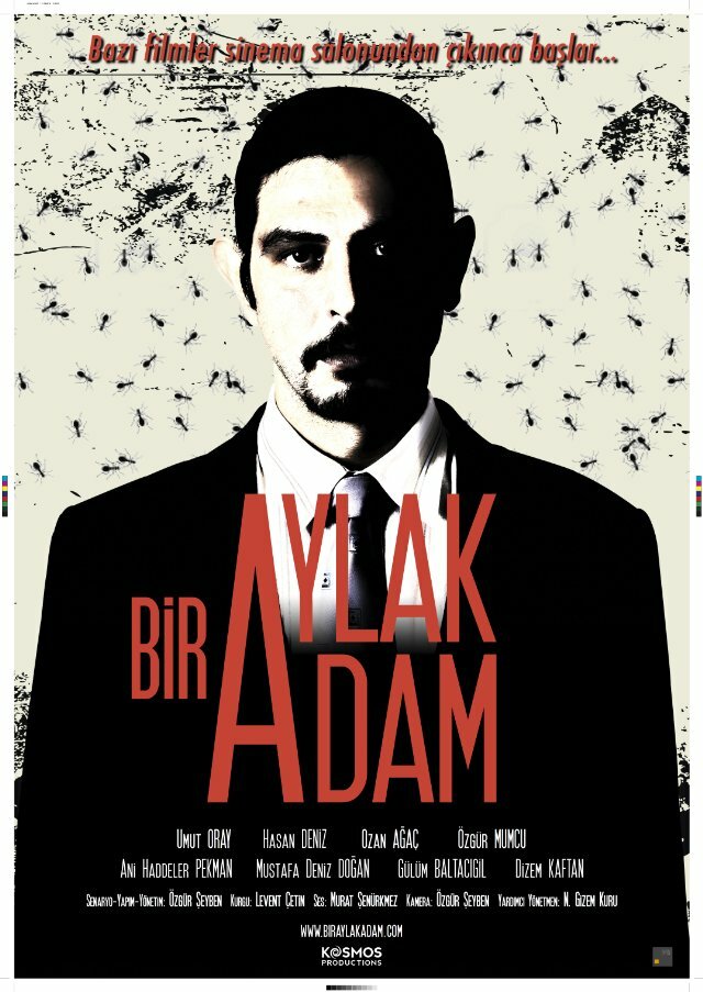 Bir Aylak Adam (2013)