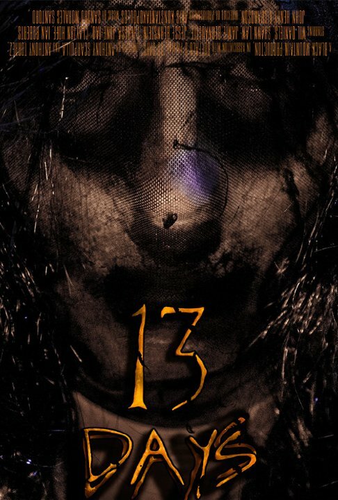 13 Days (2016)