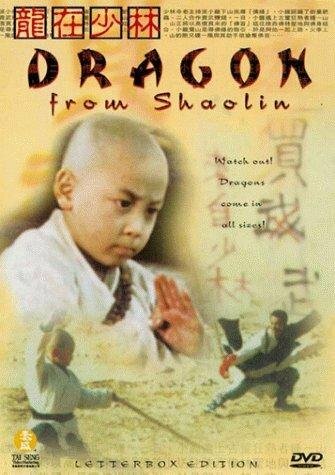 Long zai Shaolin (1996)